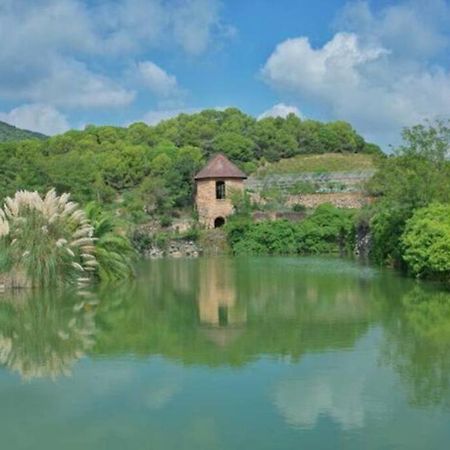 Beautiful Spot For Remote Work Apartment อเลยา ภายนอก รูปภาพ