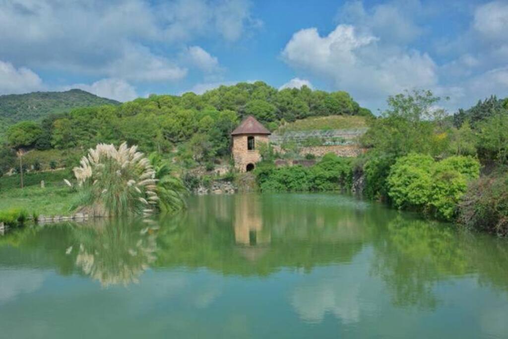 Beautiful Spot For Remote Work Apartment อเลยา ภายนอก รูปภาพ