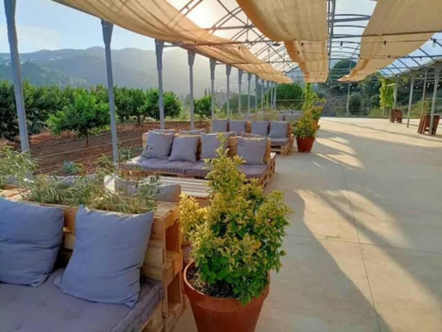 Beautiful Spot For Remote Work Apartment อเลยา ภายนอก รูปภาพ